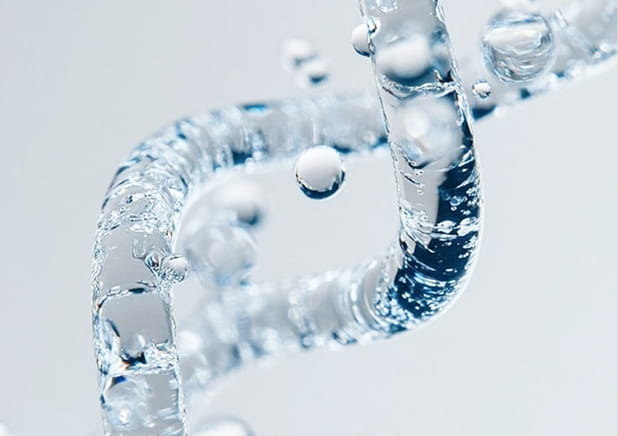 줄기세포 성장인자