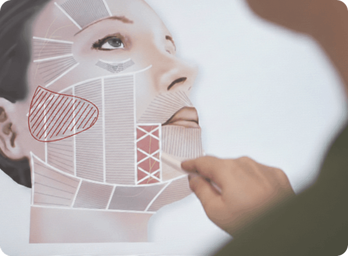 해부학적 1:1 설계